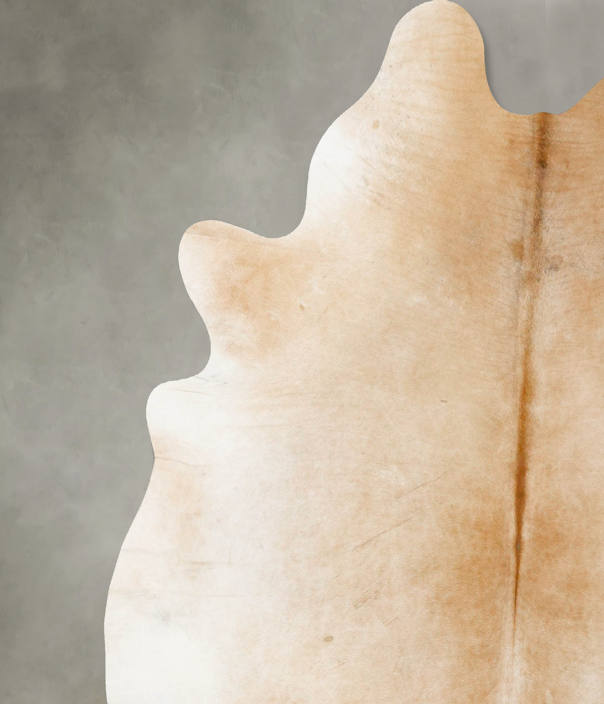 Light Caramel XX-Large Brazilian Cowhide Rug 7'8"H x 6'9"W #B25245 by Hudson Hides