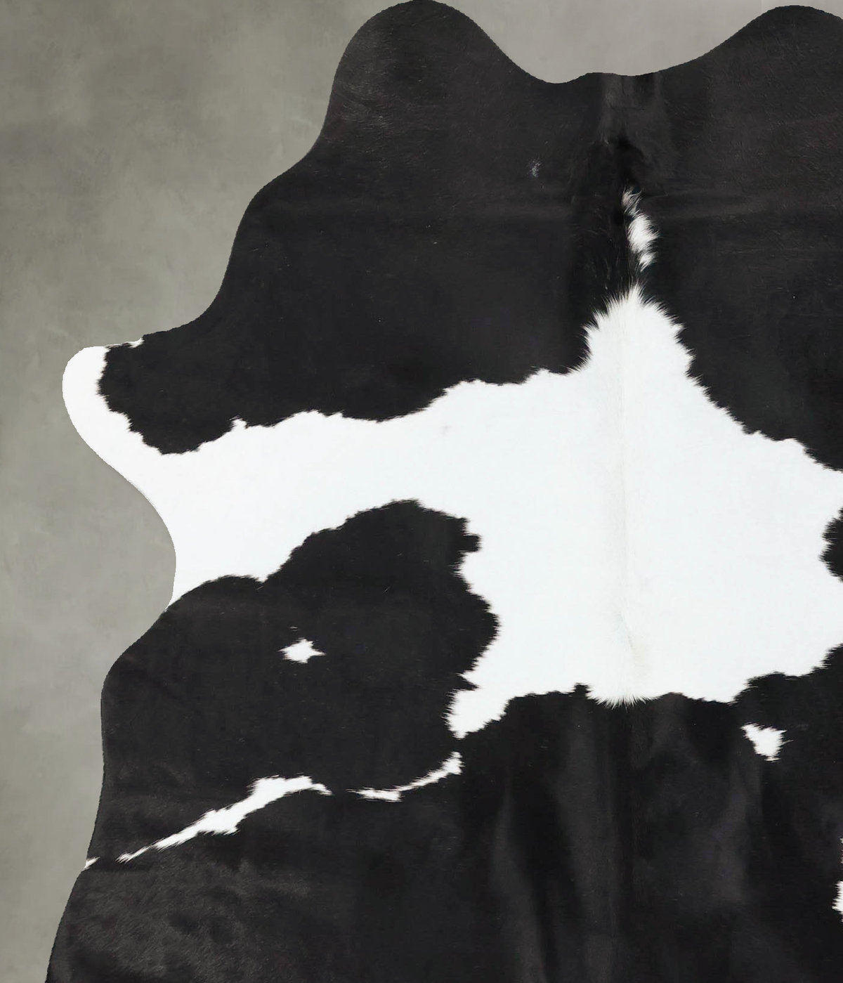Black and White Large Brazilian Cowhide Rug 6'11"H x 5'6"W #B25263 by Hudson Hides