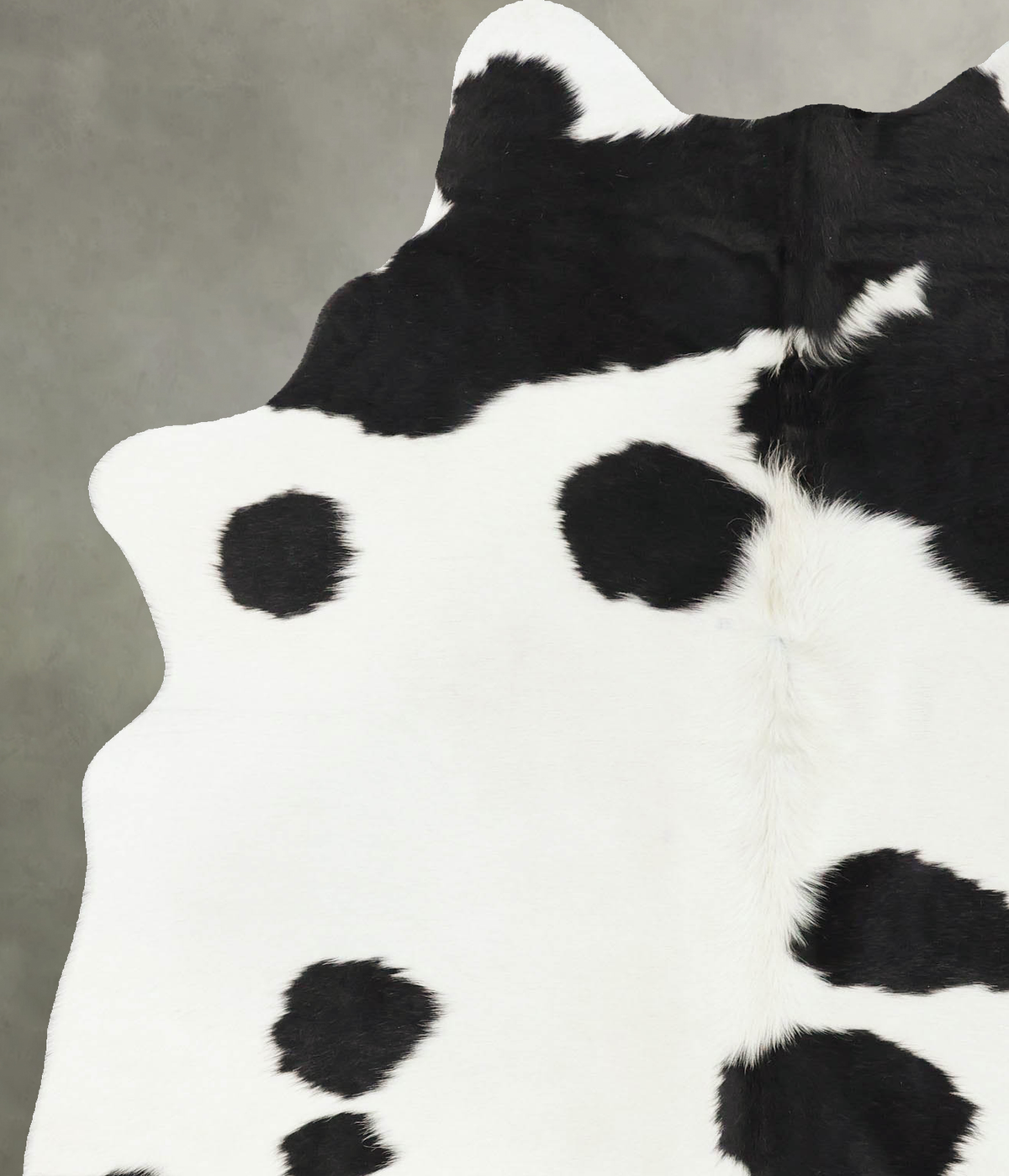 Black and White Large Brazilian Cowhide Rug 7'4"H x 5'1"W #B25265 by Hudson Hides