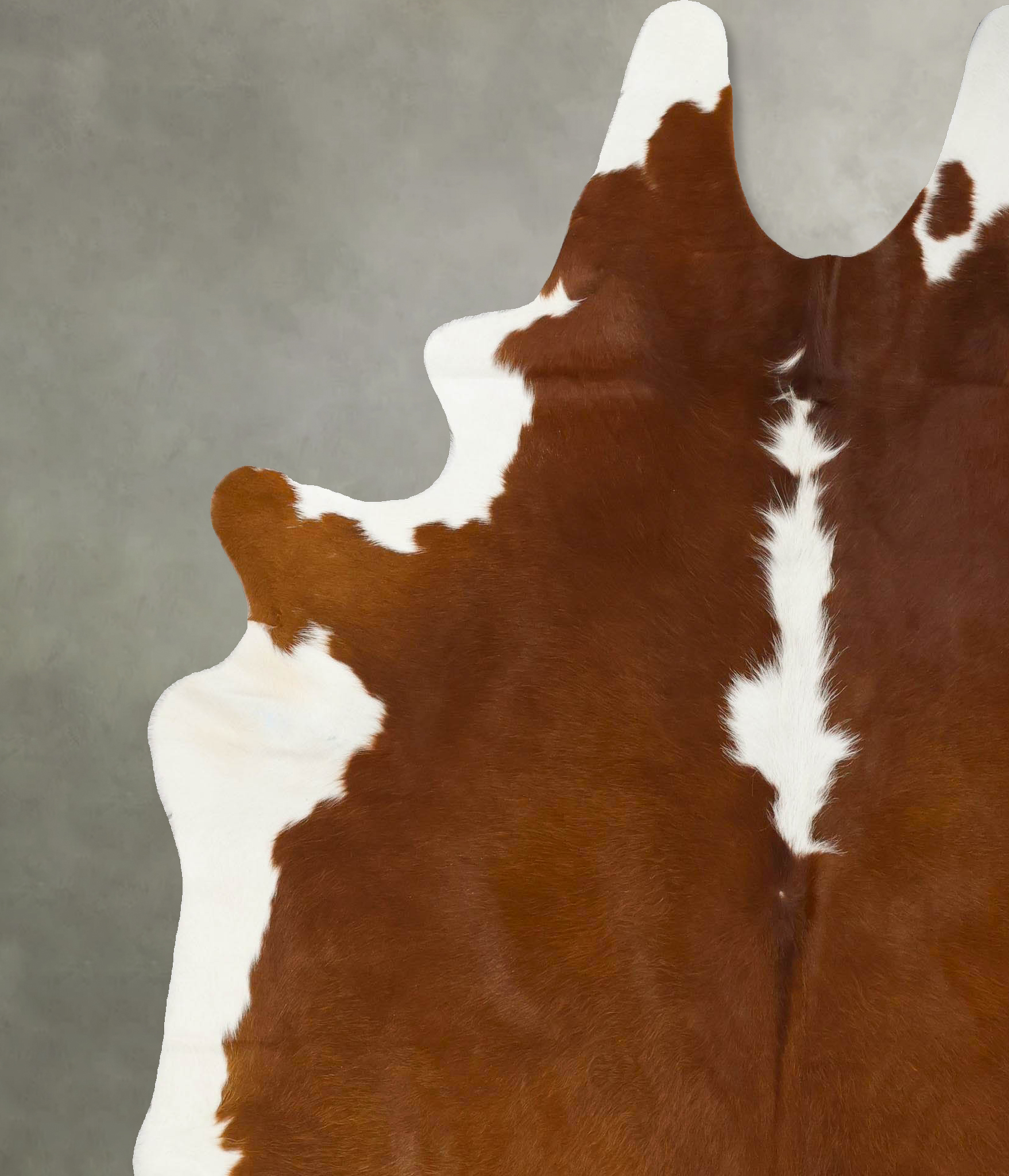 Hereford Cowhide Rug #B25270