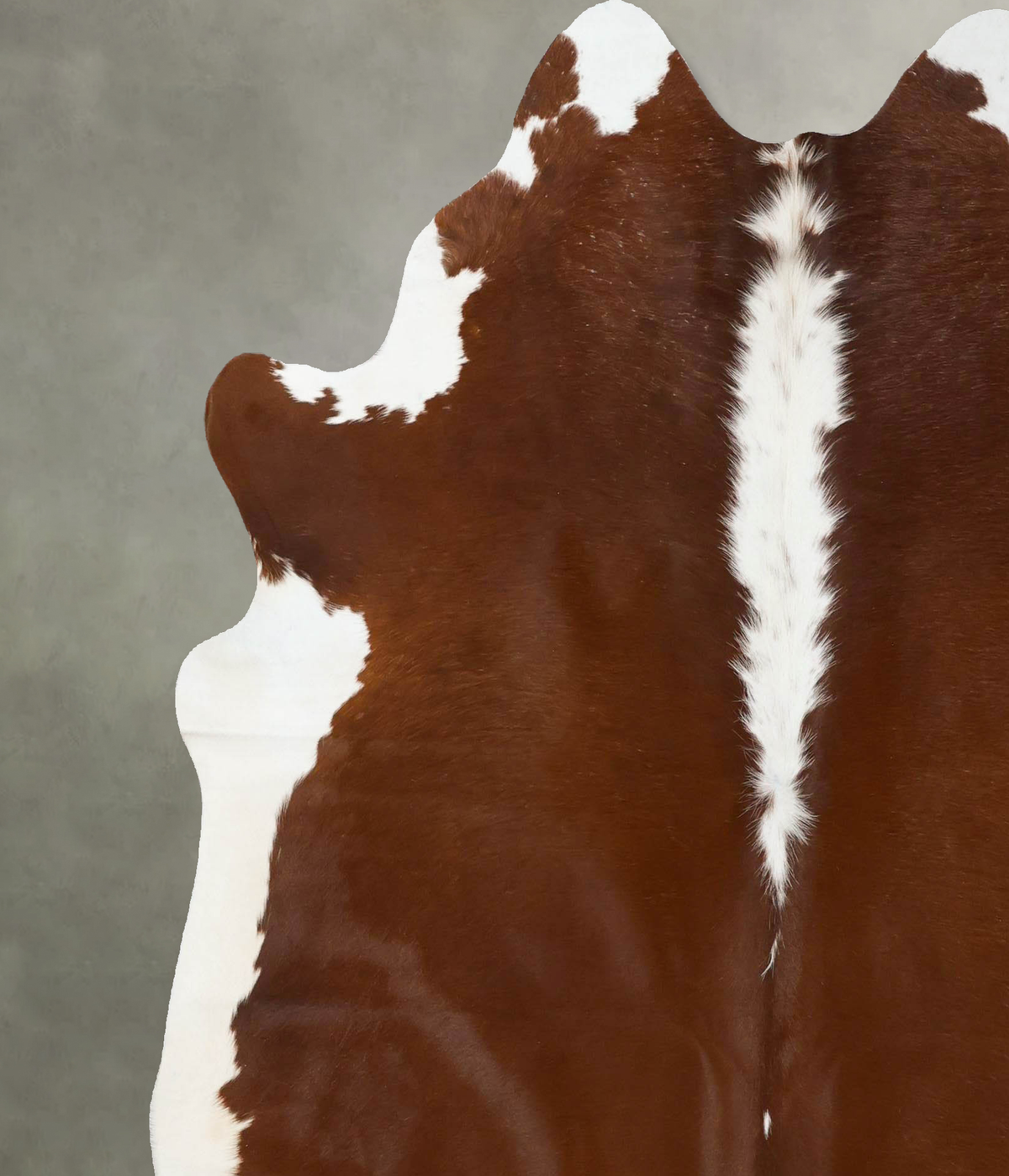 Hereford X-Large Brazilian Cowhide Rug 7'1"H x 6'5"W #B25272 by Hudson Hides