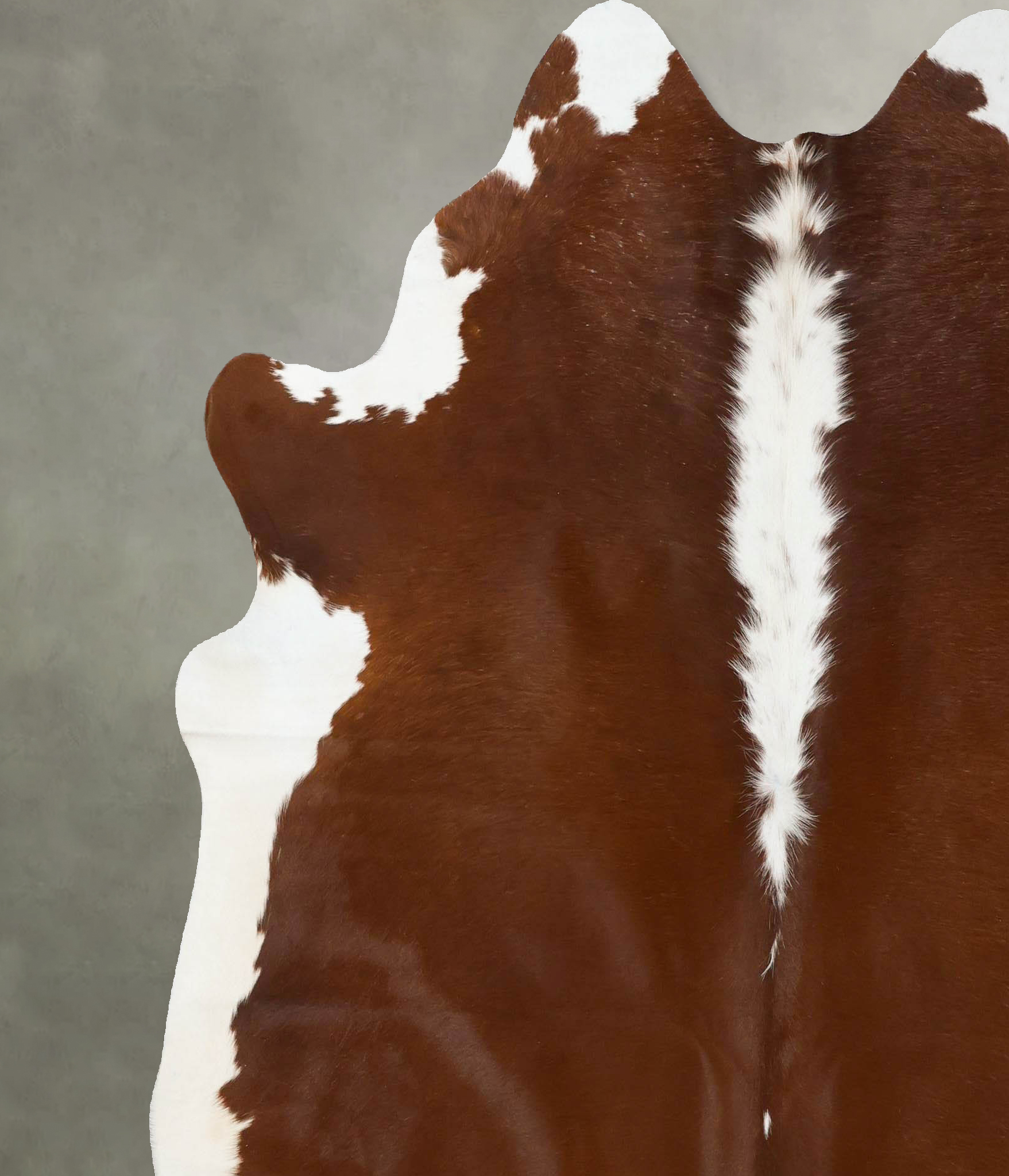 Hereford Cowhide Rug #B25272