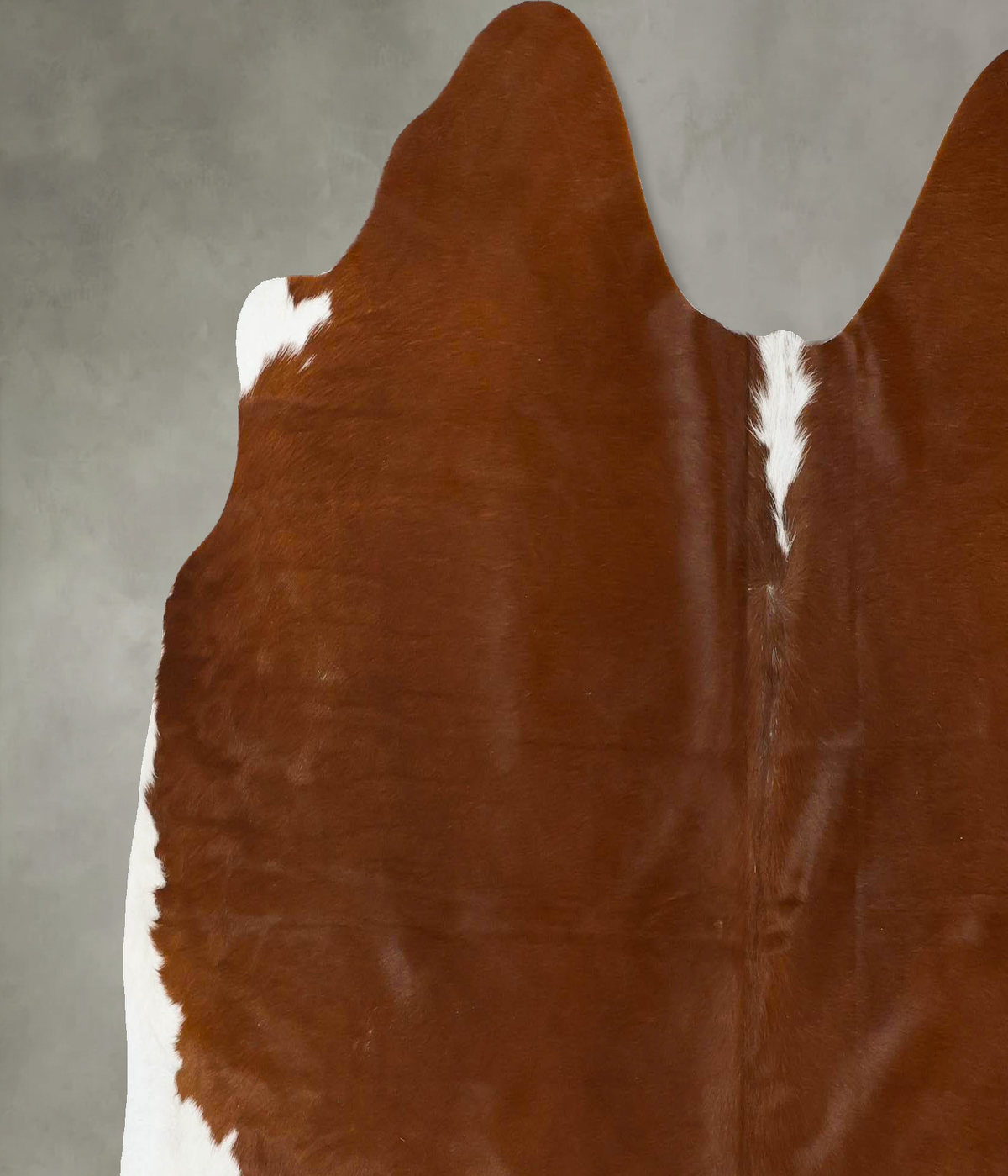 Brown and White Regular Large Brazilian Cowhide Rug 5'11"H x 6'7"W #B25287 by Hudson Hides