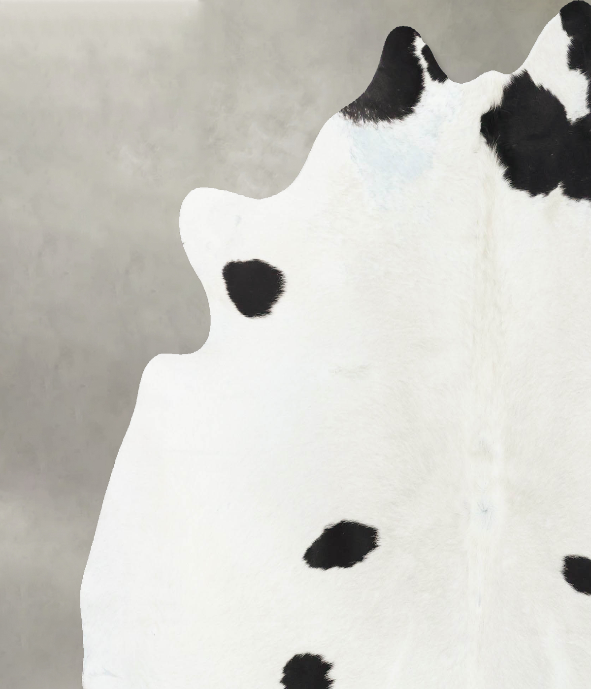 Black and White X-Large Brazilian Cowhide Rug 6'8"H x 6'6"W #B25293 by Hudson Hides