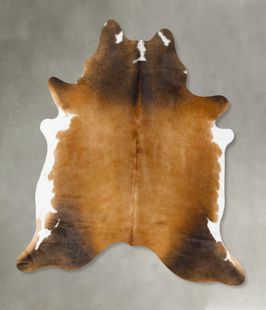 Warm Caramel X-Large Brazilian Cowhide Rug 7'9"H x 6'5"W #B25303 by Hudson Hides