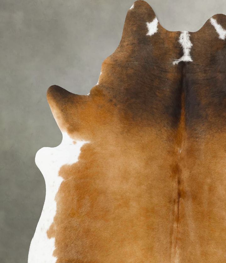 Warm Caramel X-Large Brazilian Cowhide Rug 7'9"H x 6'5"W #B25303 by Hudson Hides