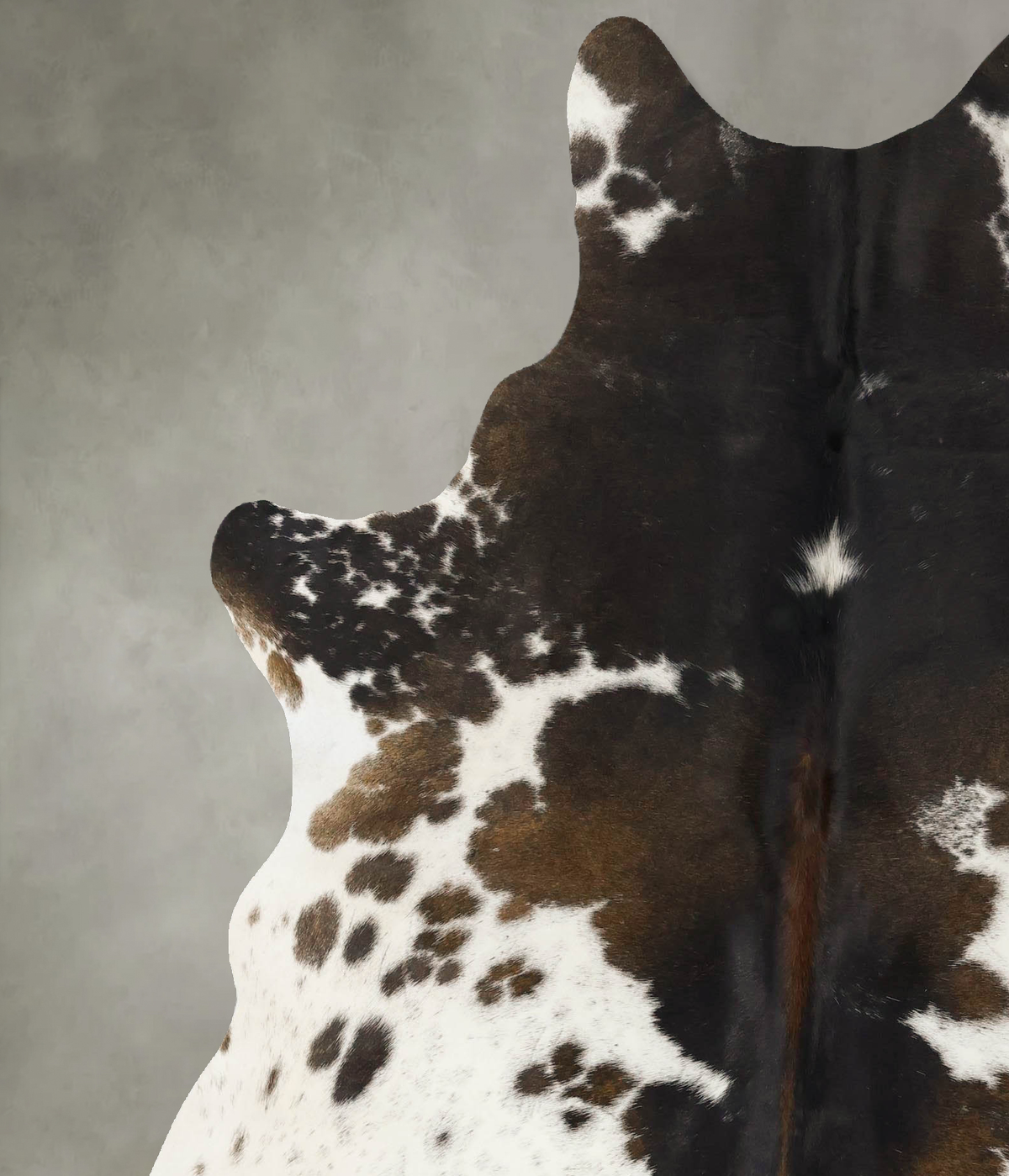 Chocolate and White X-Large Brazilian Cowhide Rug 7'5"H x 6'2"W #B25306 by Hudson Hides