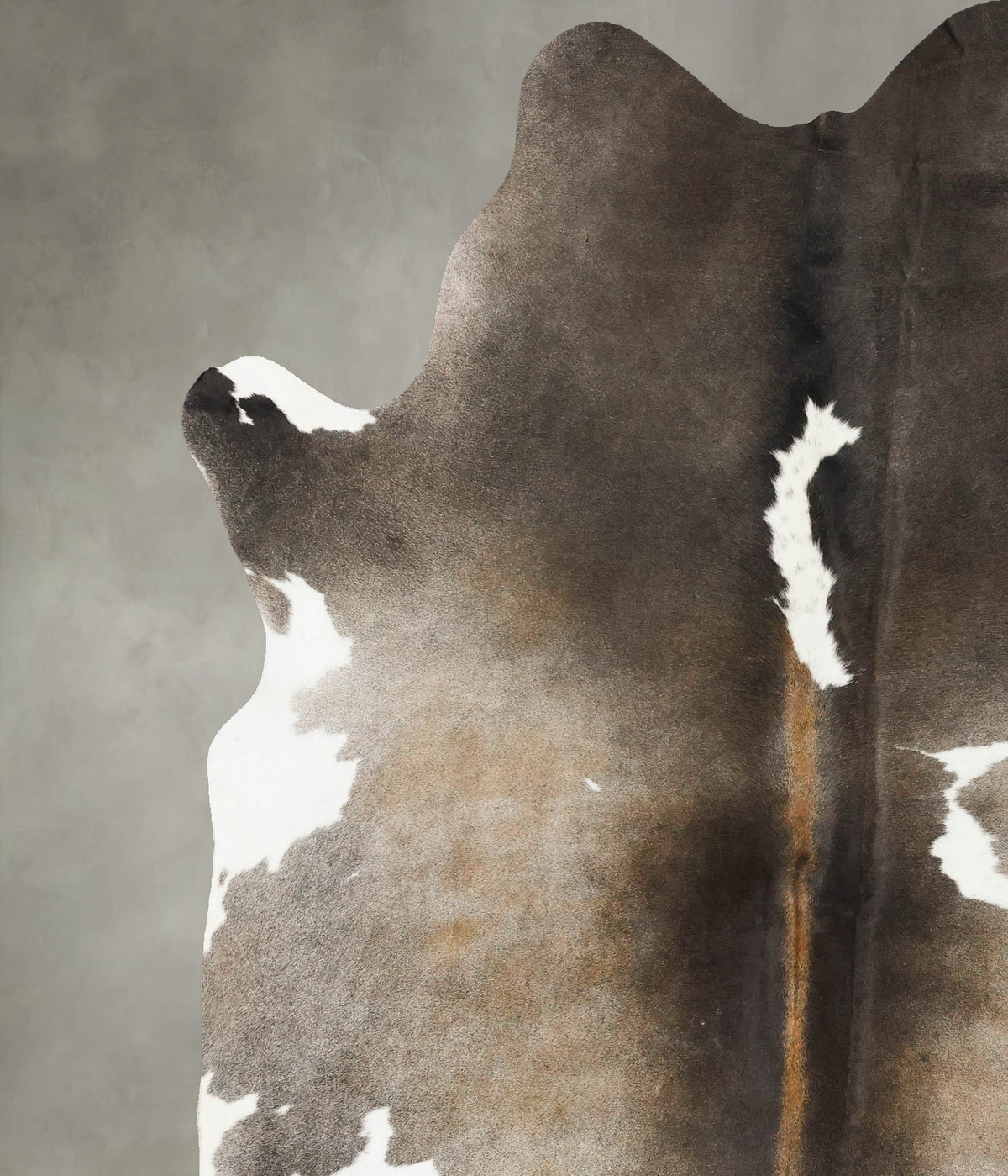 Chocolate and White X-Large Brazilian Cowhide Rug 7'9"H x 6'3"W #B25307 by Hudson Hides