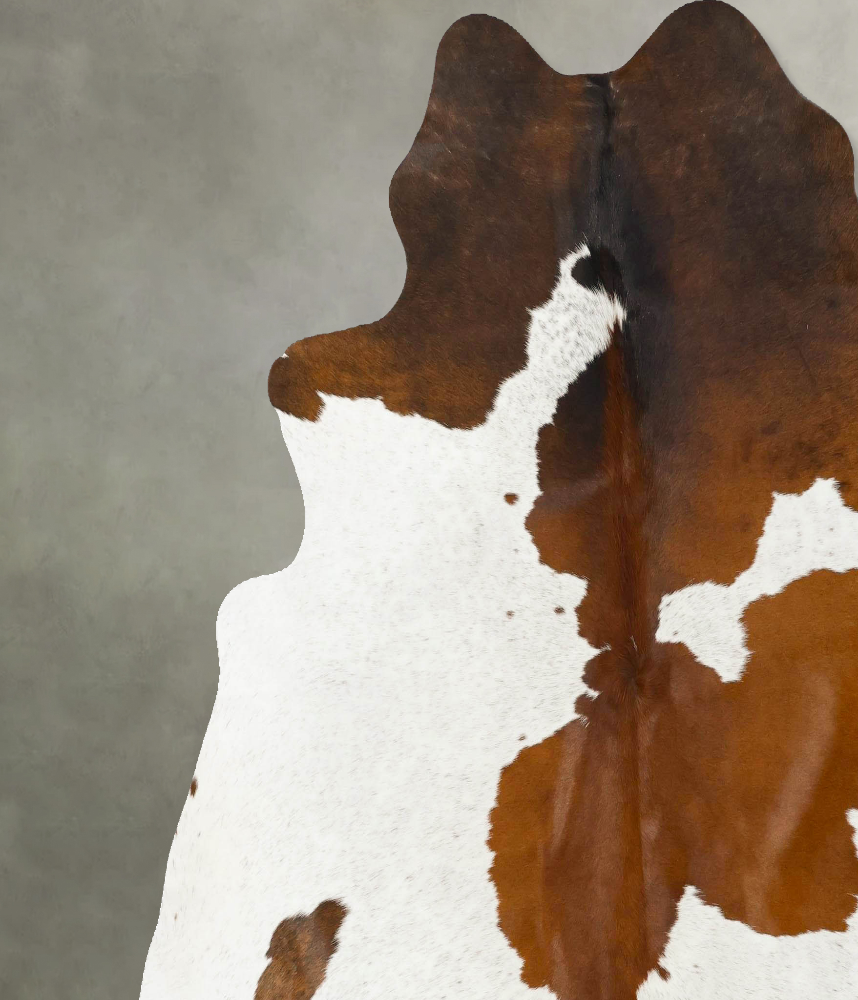 Chocolate and White Cowhide Rug #B25332