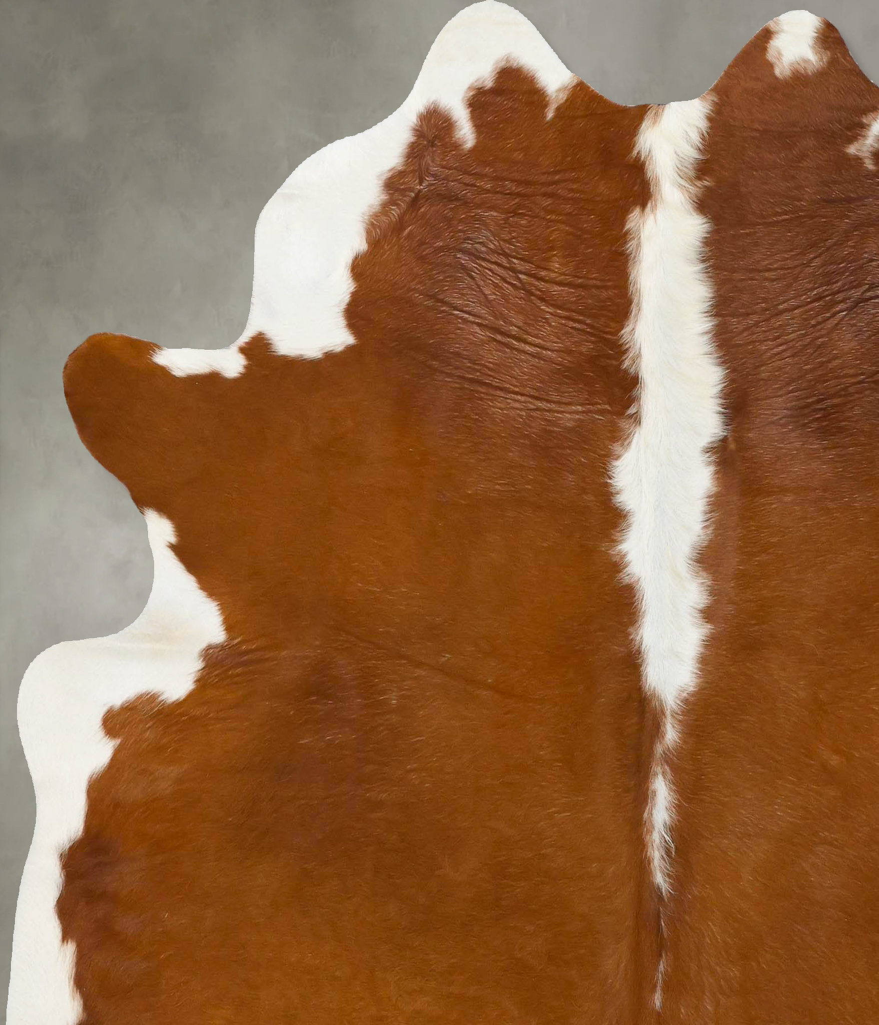 Hereford Cowhide Rug #B25335