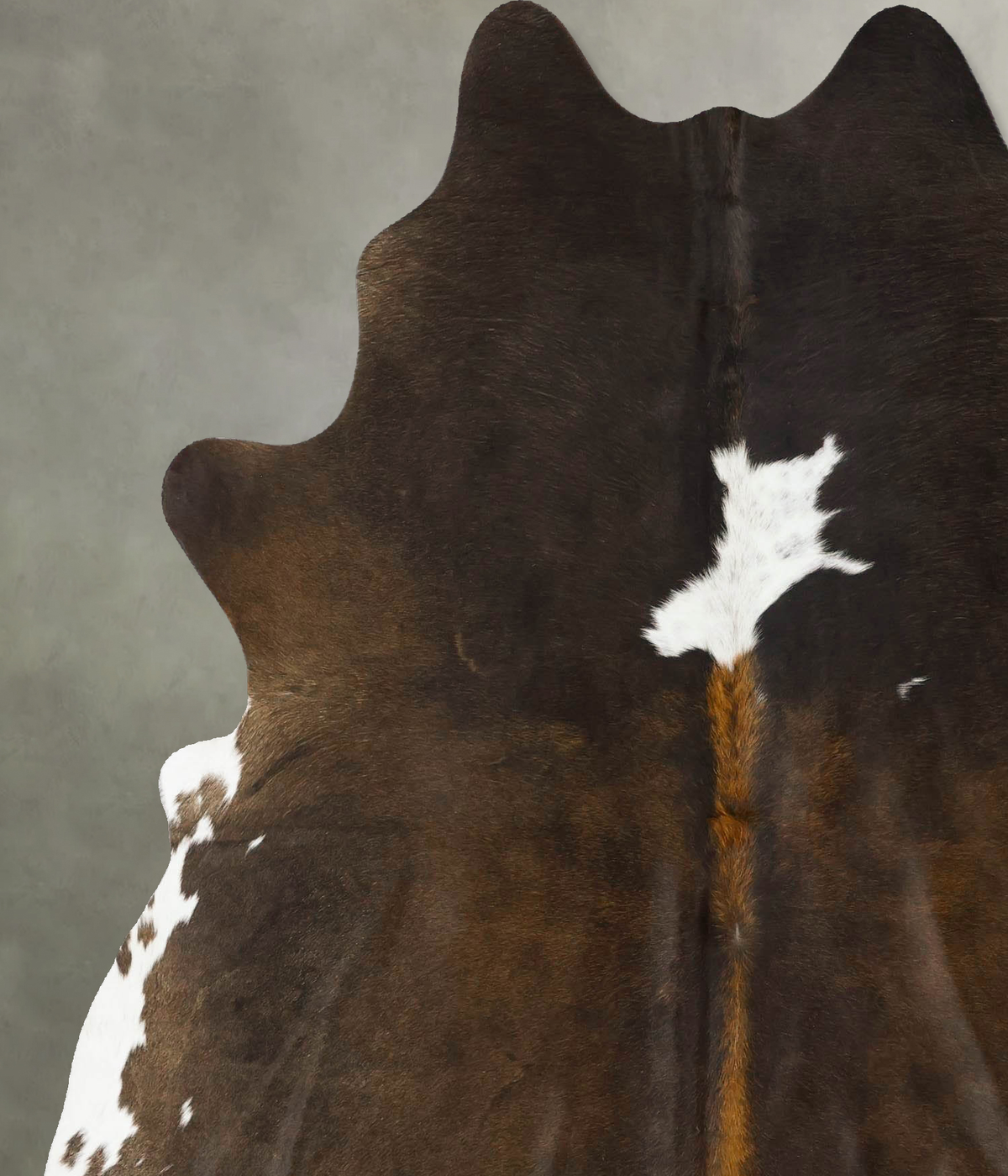 Chocolate and White X-Large Brazilian Cowhide Rug 7'2"H x 5'10"W #B25344 by Hudson Hides