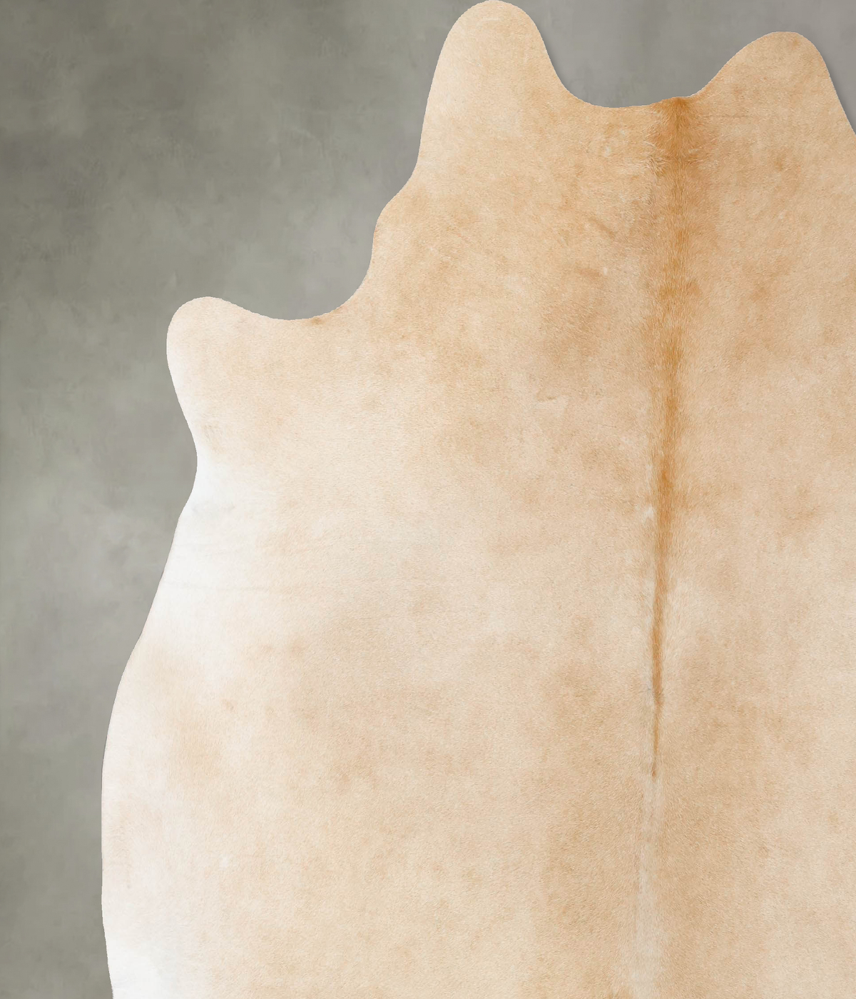 Palomino XX-Large Brazilian Cowhide Rug 7'11"H x 7'6"W #B25357 by Hudson Hides