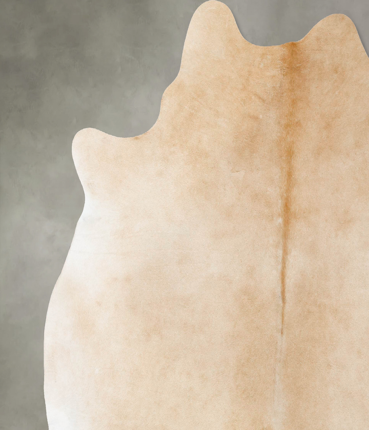 Palomino XX-Large Brazilian Cowhide Rug 7'11"H x 7'6"W #B25357 by Hudson Hides