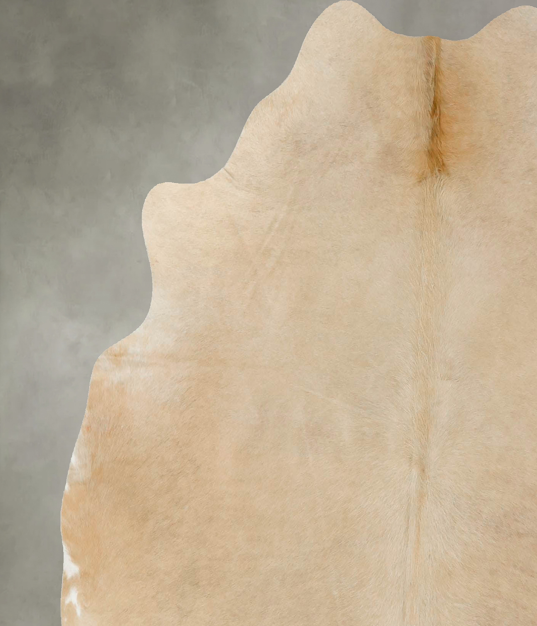 Palomino Large Brazilian Cowhide Rug 5'7"H x 5'6"W #B25377 by Hudson H