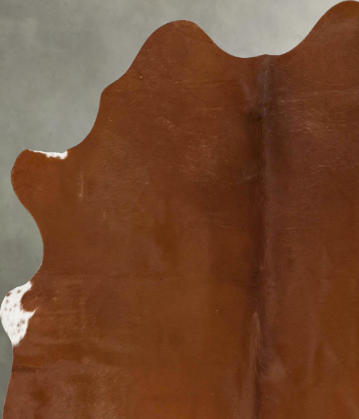 Solid Brown Large Brazilian Cowhide Rug 6'0"H x 5'1"W #B25382 by Hudson Hides