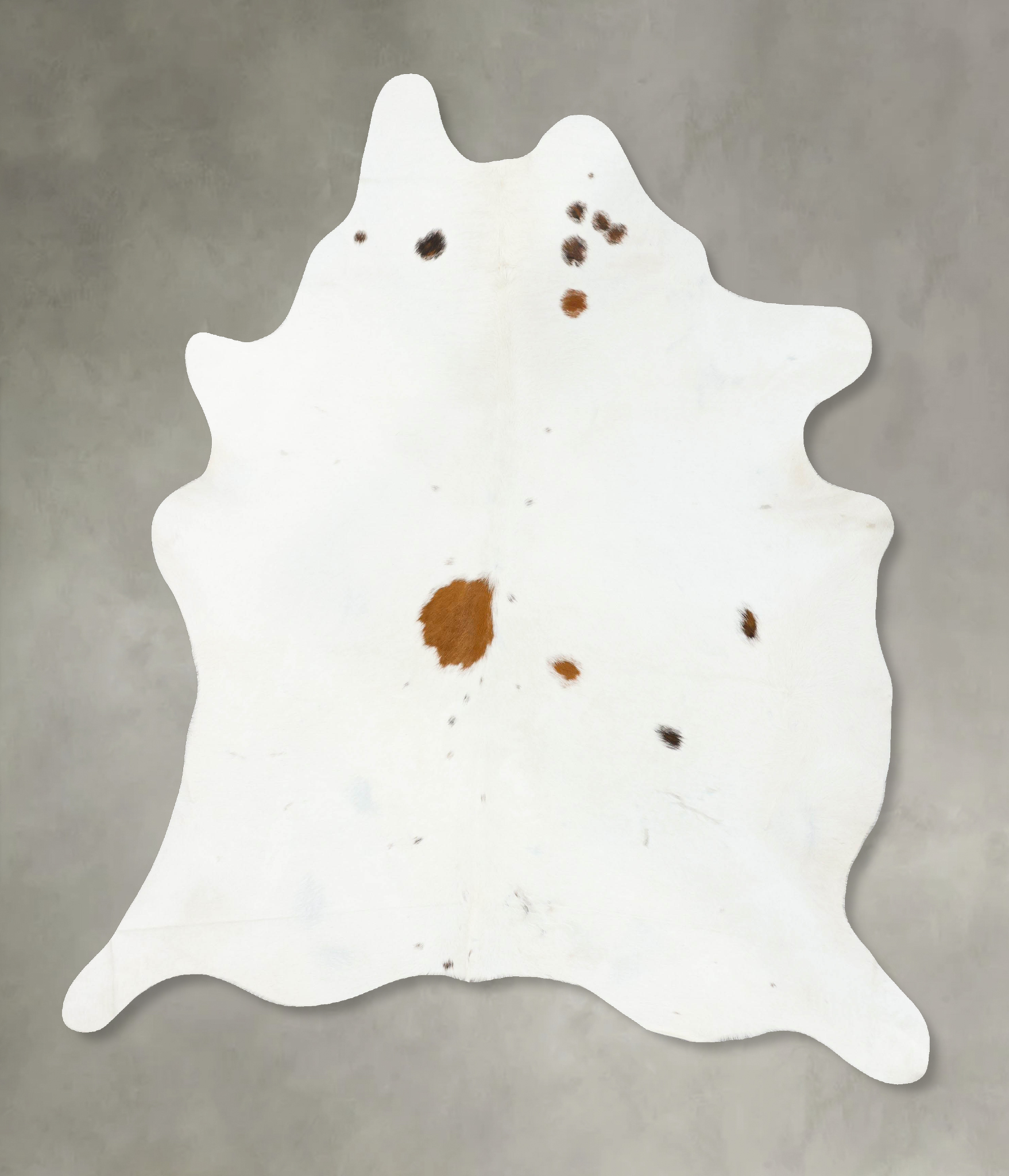Brown and White Regular Cowhide Rug #B25388