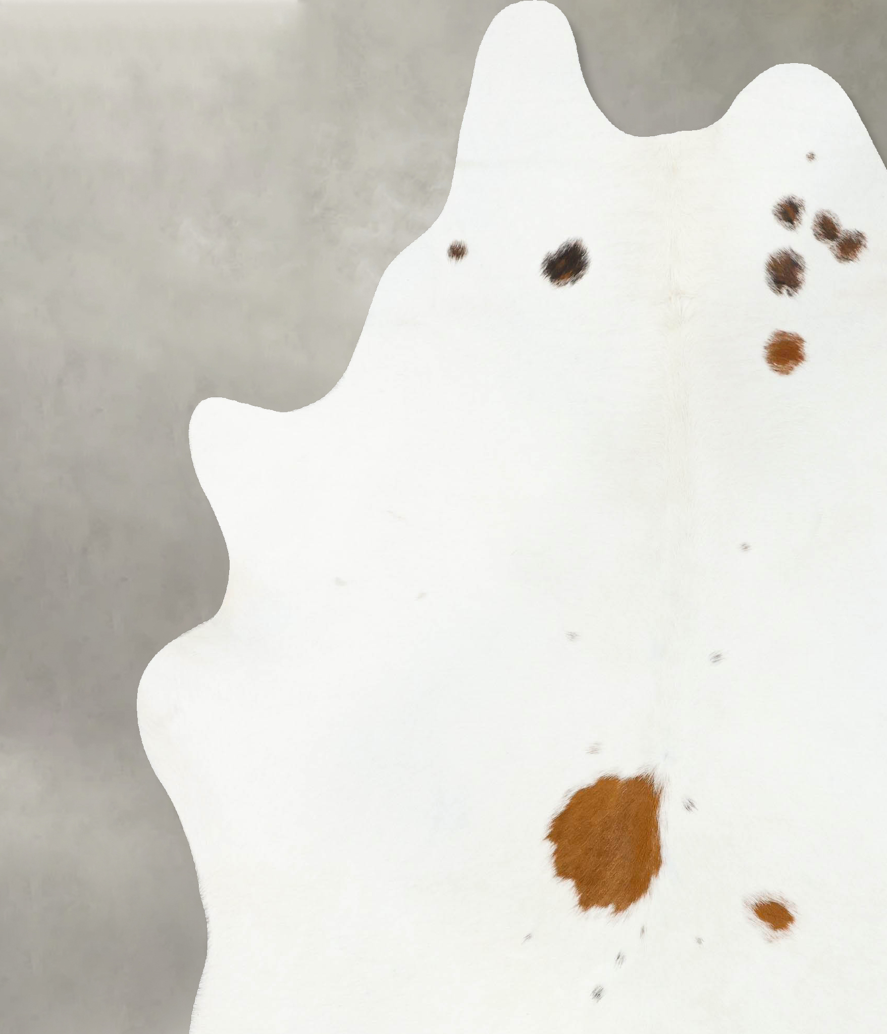 Brown and White Regular Cowhide Rug #B25388