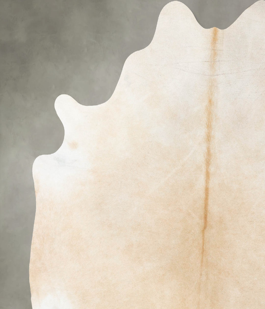 Palomino XX-Large Brazilian Cowhide Rug 7'10"H x 7'0"W #B25423 by Huds