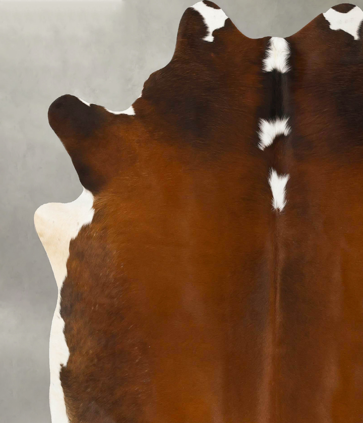 Warm Caramel X-Large Brazilian Cowhide Rug 7'4"H x 6'4"W #B25430 by Hudson Hides