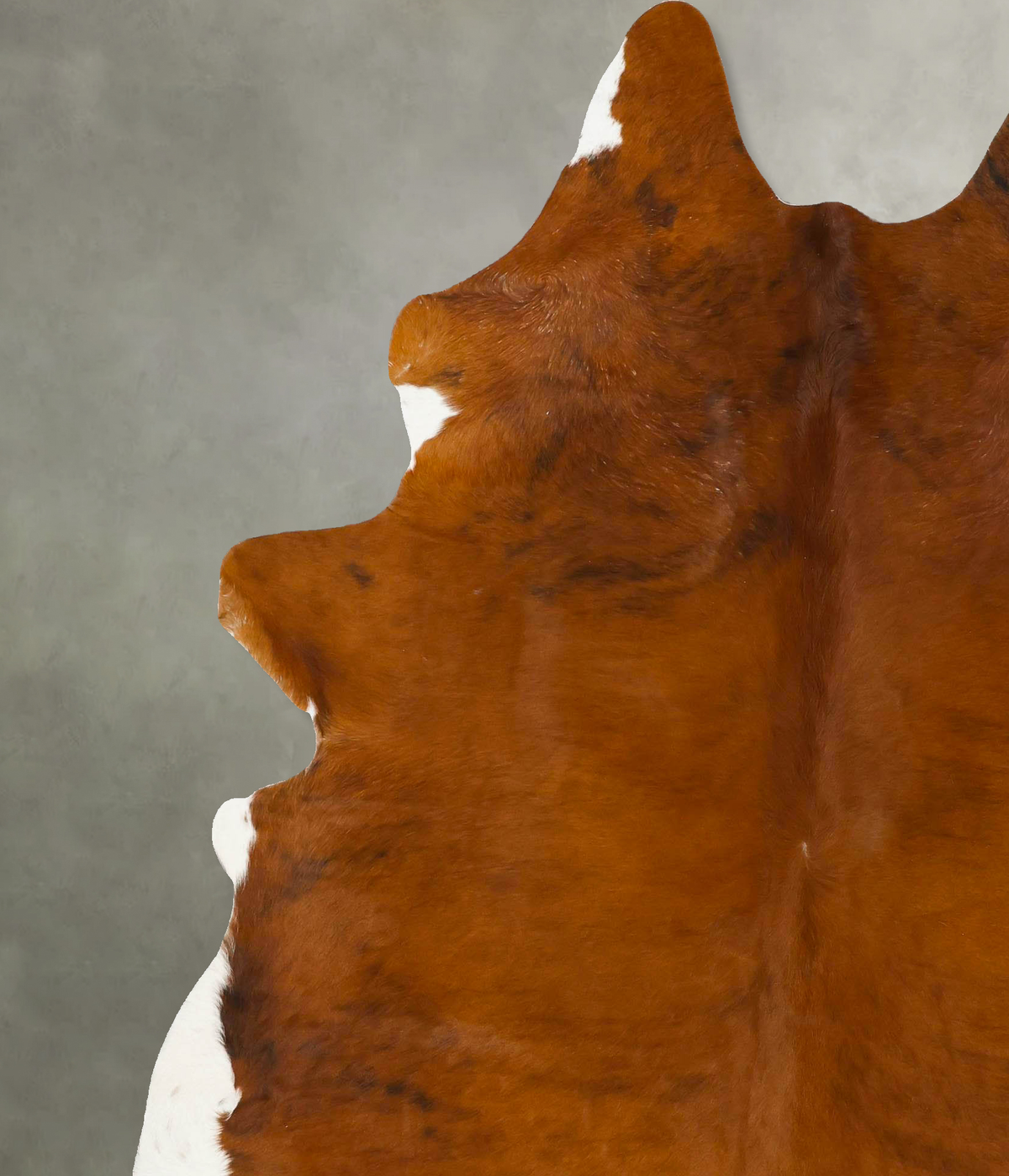 Medium Brindle XX-Large Brazilian Cowhide Rug 7'10"H x 6'6"W #B25443 by Hudson Hides