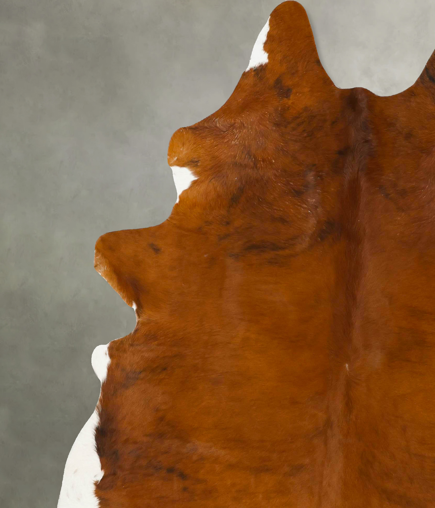 Medium Brindle Cowhide Rug #B25443