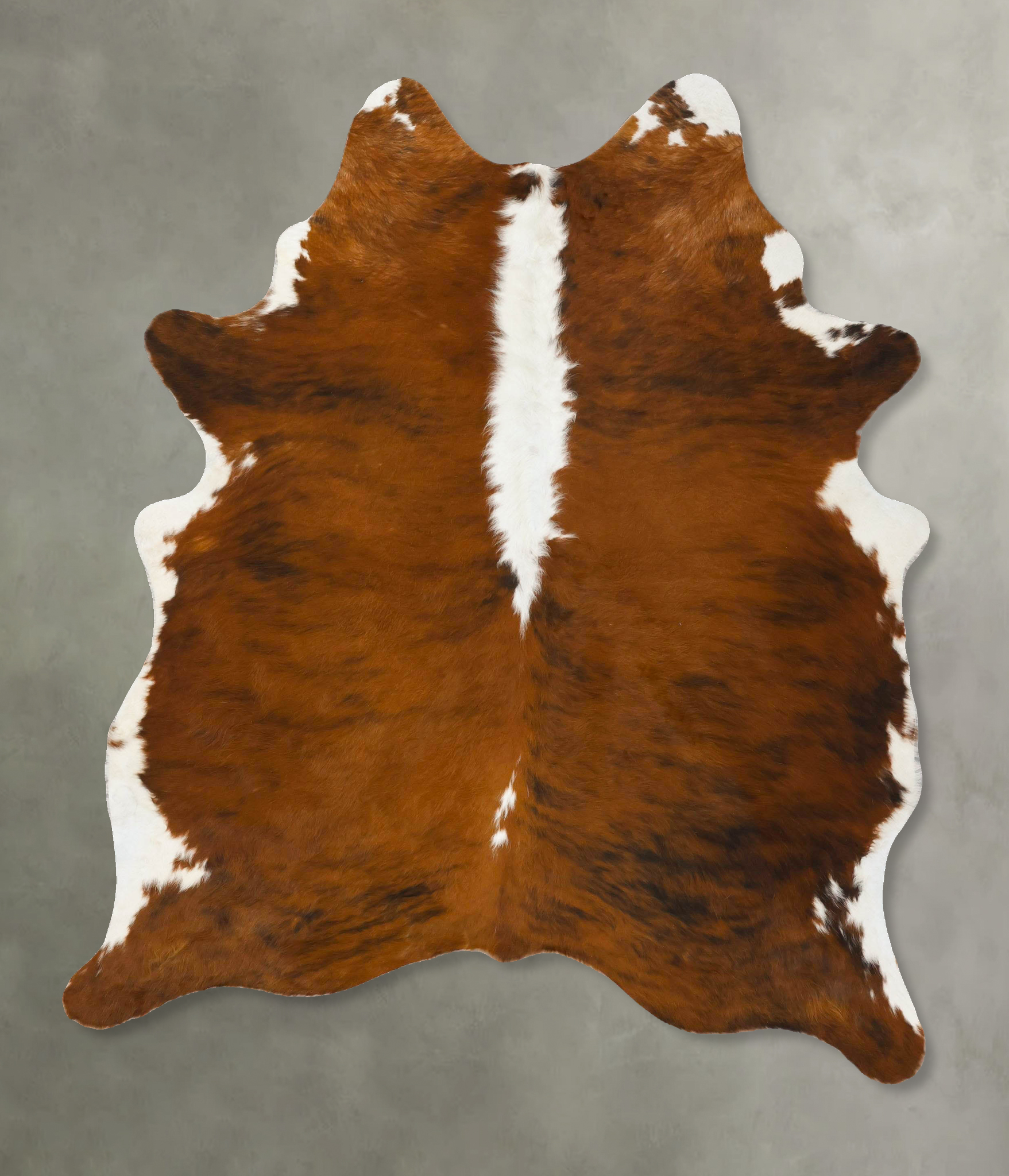 Tricolor Cowhide Rug #B25460