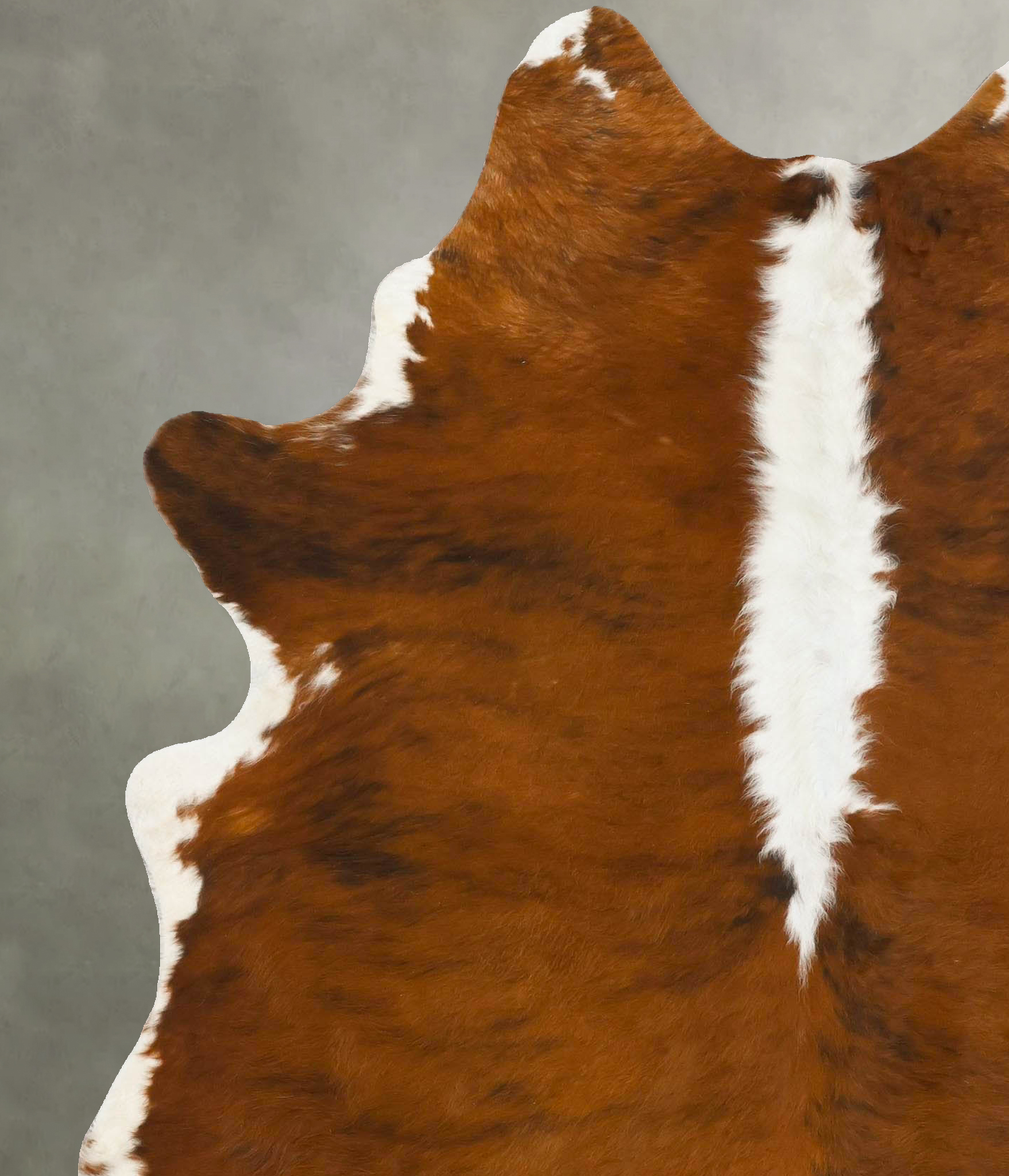 Tricolor Cowhide Rug #B25460