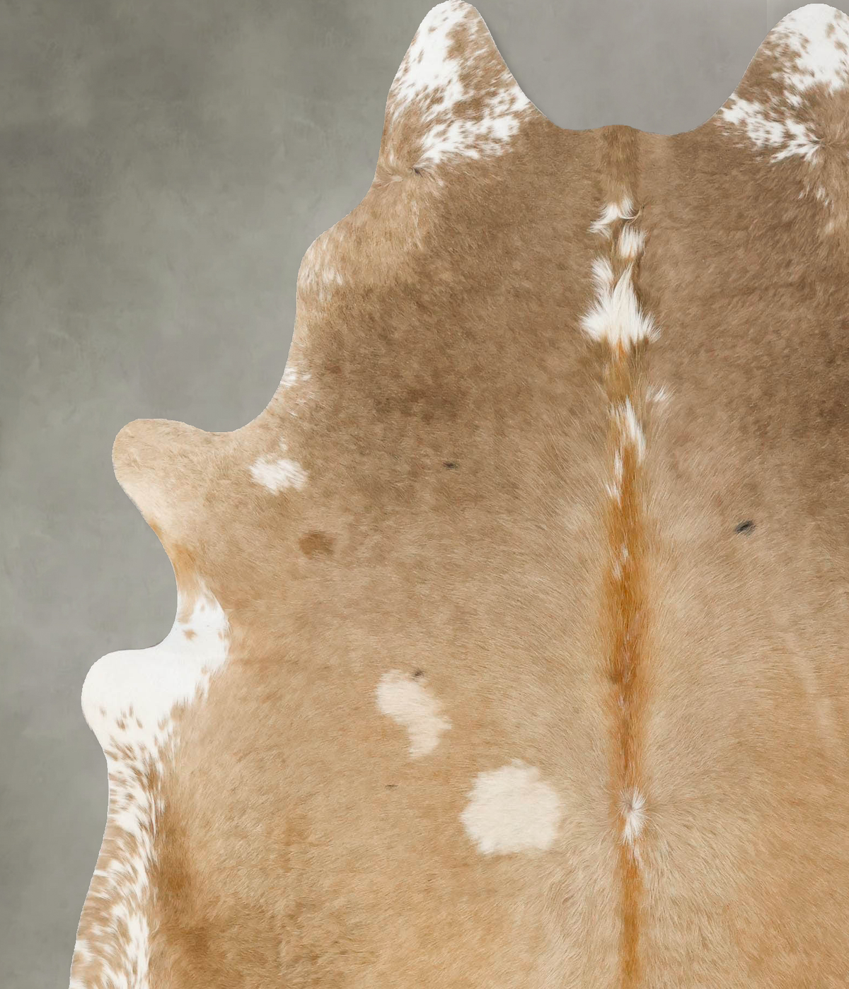 Champagne X-Large Brazilian Cowhide Rug 7'0"H x 6'1"W #B25466 by Hudson Hides