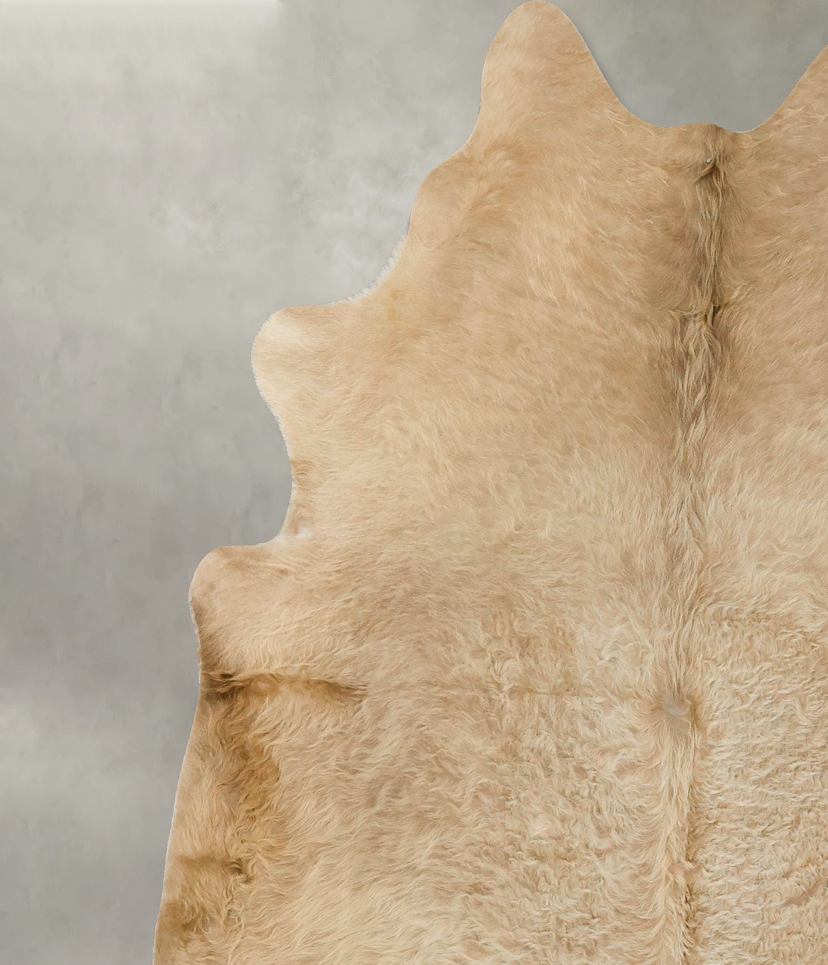 Champagne X-Large Brazilian Cowhide Rug 6'10"H x 6'0"W #B25468 by Hudson Hides
