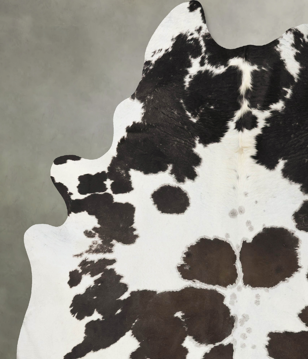 Chocolate and White XX-Large Brazilian Cowhide Rug 8'4"H x 6'8"W #B254