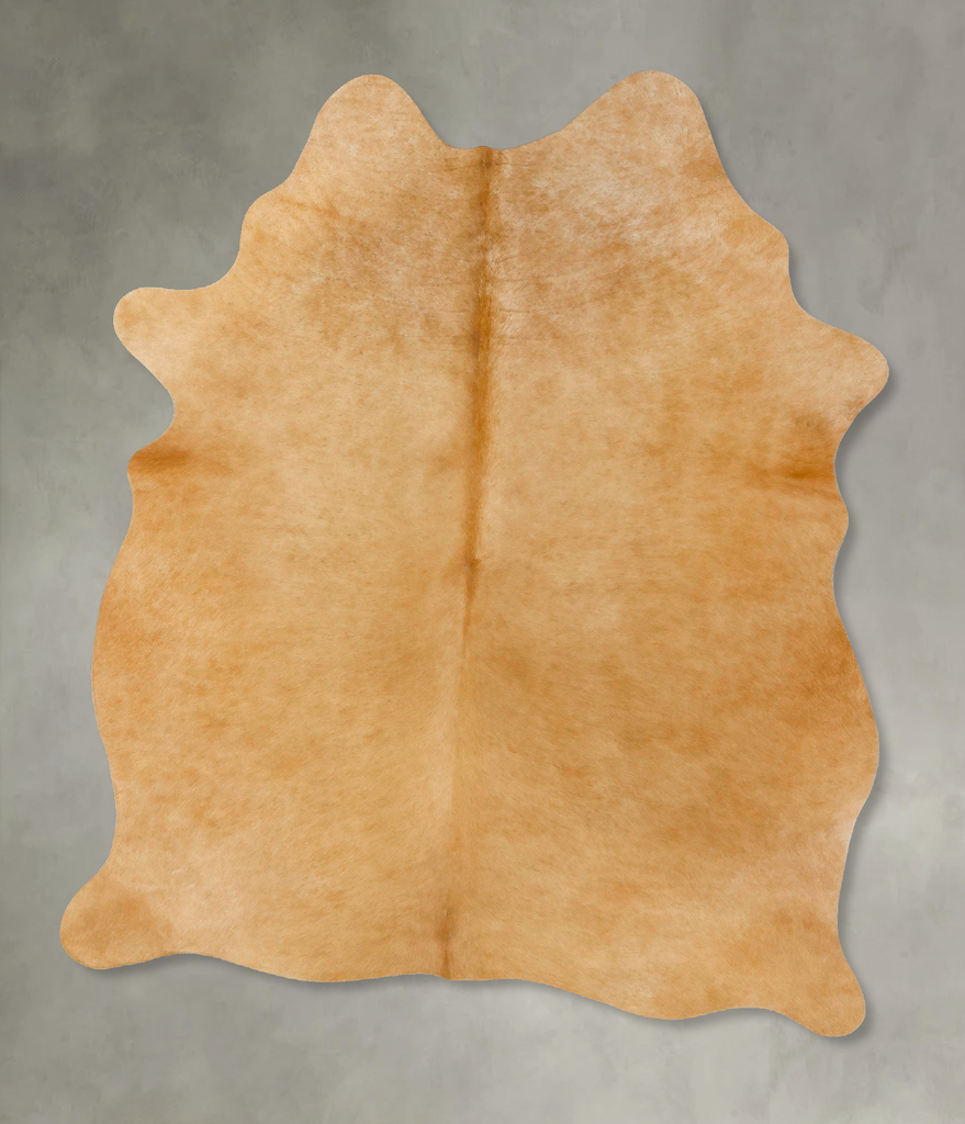 Beige Large Brazilian Cowhide Rug 6'6"H x 4'10"W #B25520 by Hudson Hides