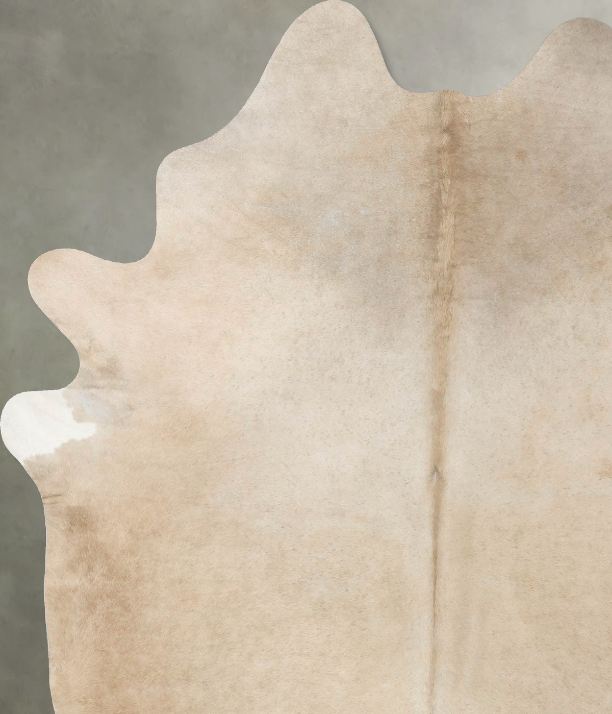 Champagne Cowhide Rug #B25529