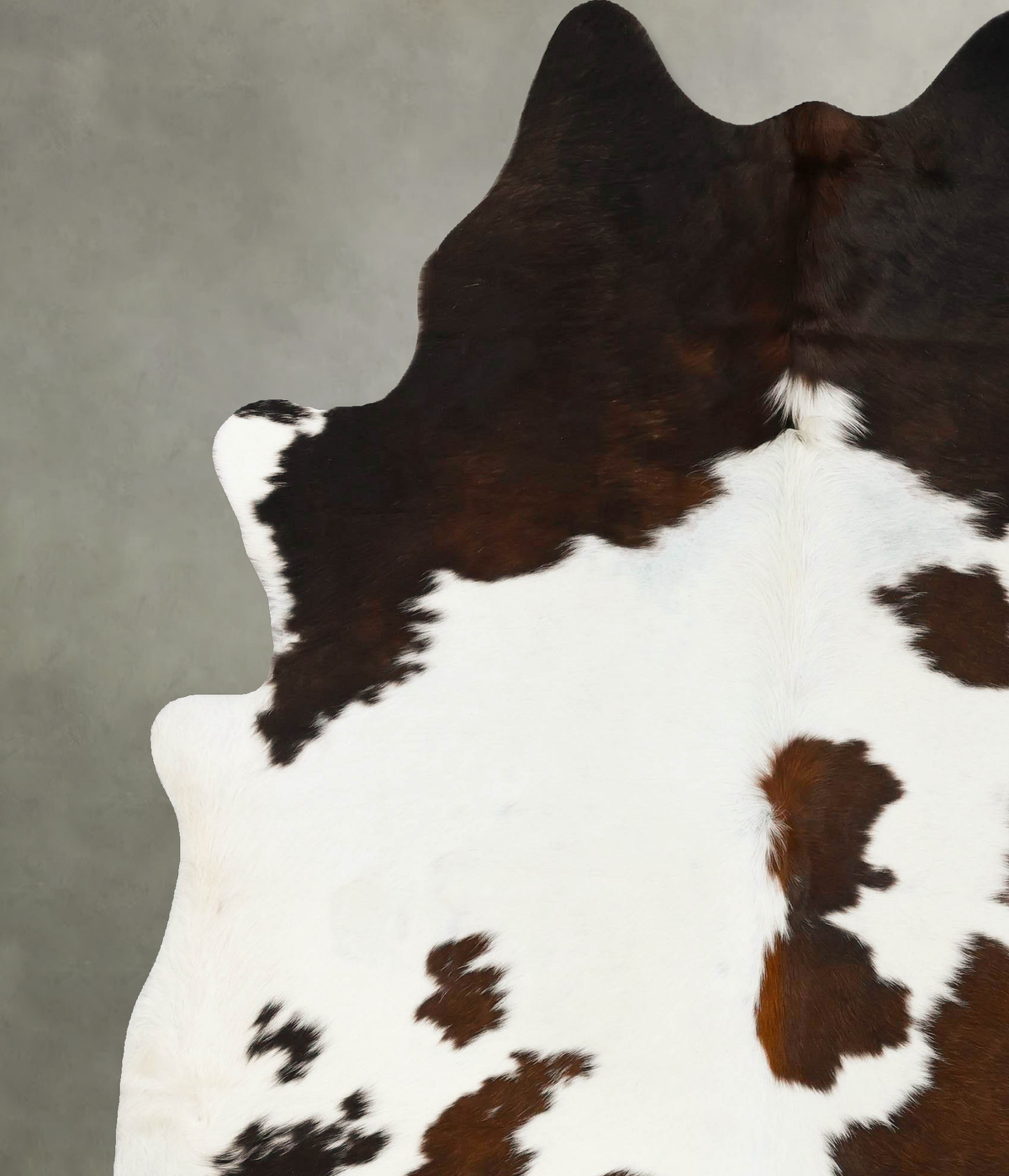 Chocolate and White XX-Large Brazilian Cowhide Rug 8'1"H x 6'8"W #B25539 by Hudson Hides