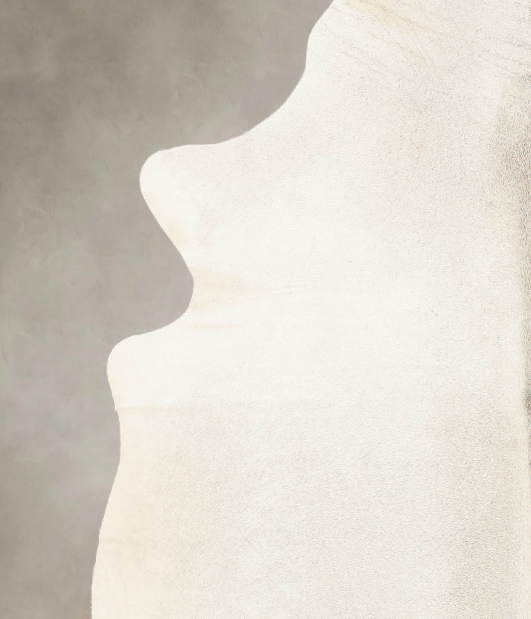 Light Grey Cowhide Rug #B2555