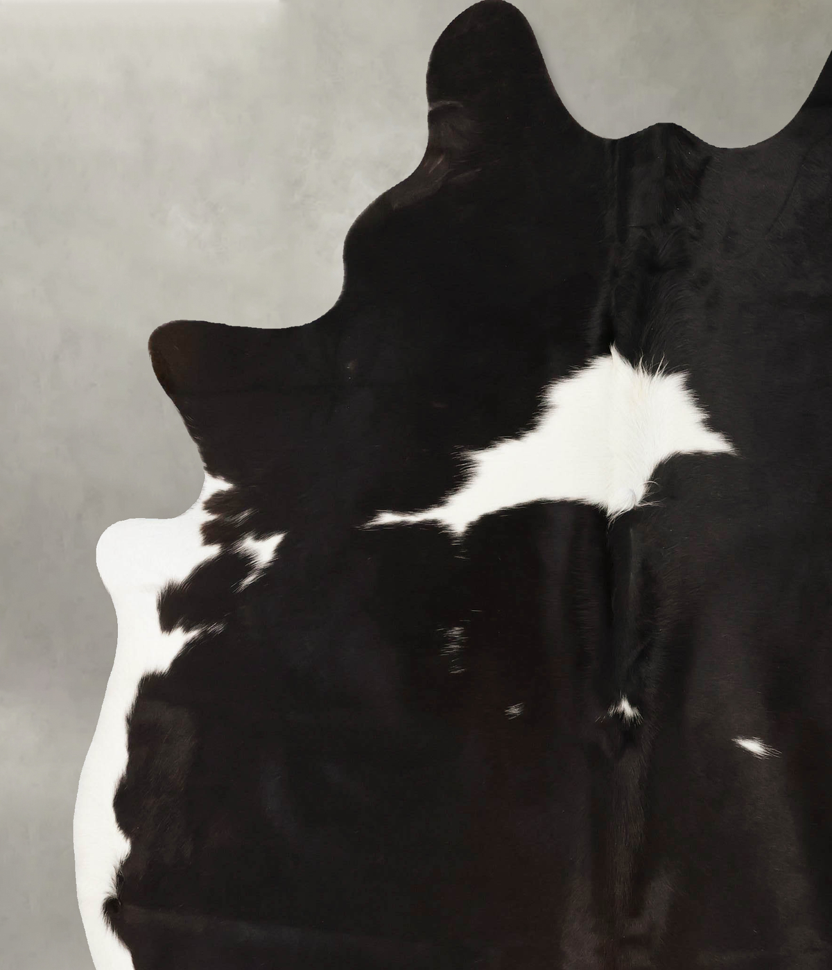 Chocolate and White XX-Large Brazilian Cowhide Rug 8'1"H x 6'11"W #B25550 by Hudson Hides