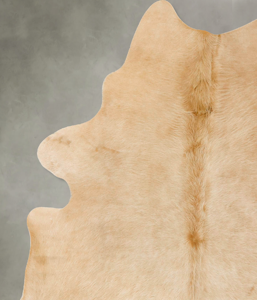 Palomino X-Large Brazilian Cowhide Rug 7'1"H x 5'9"W #B25567 by Hudson