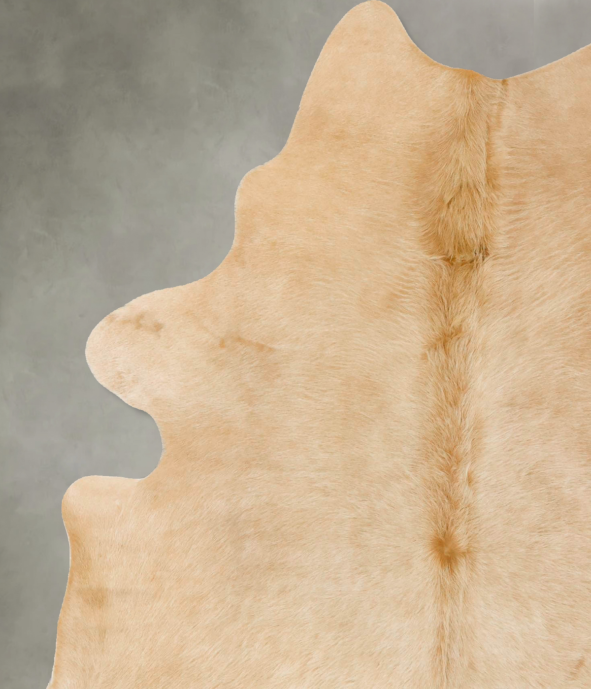 Palomino X-Large Brazilian Cowhide Rug 7'1"H x 5'9"W #B25567 by Hudson Hides