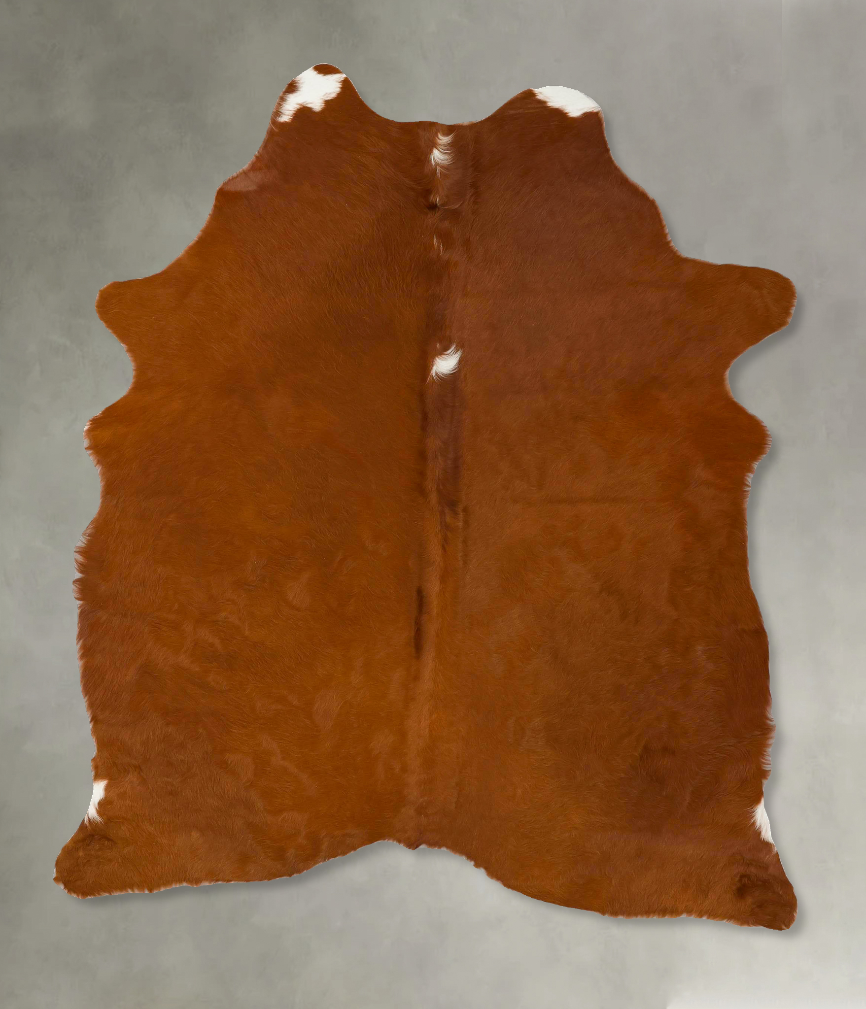 Brown and White Regular Cowhide Rug #B25573