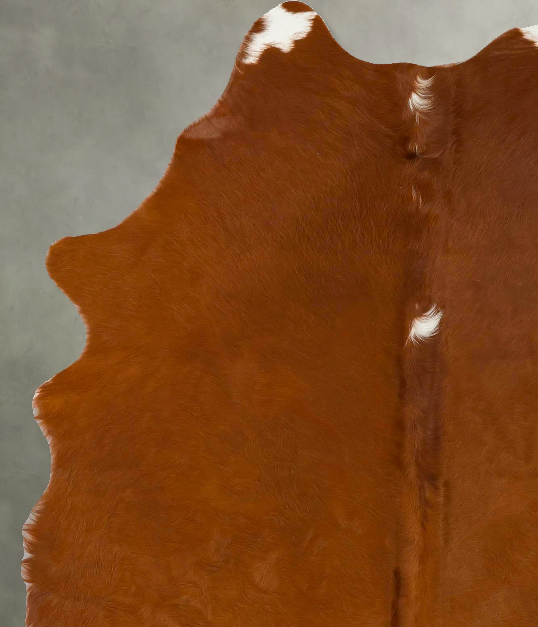 Brown and White Regular Cowhide Rug #B25573