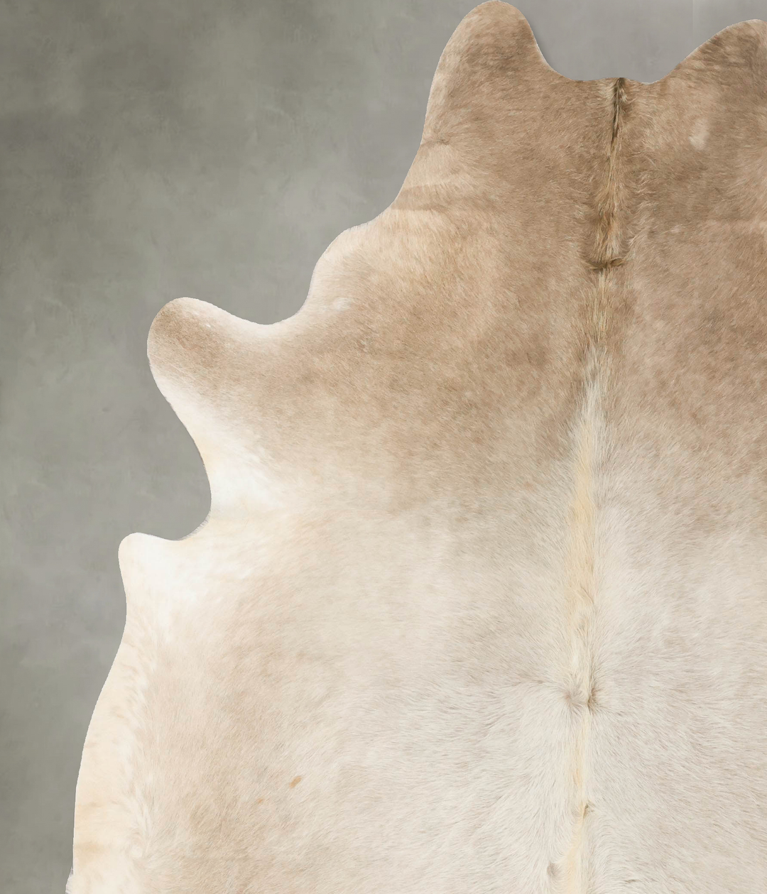 Champagne XX-Large Brazilian Cowhide Rug 8'10"H x 7'0"W #B25574 by Hud