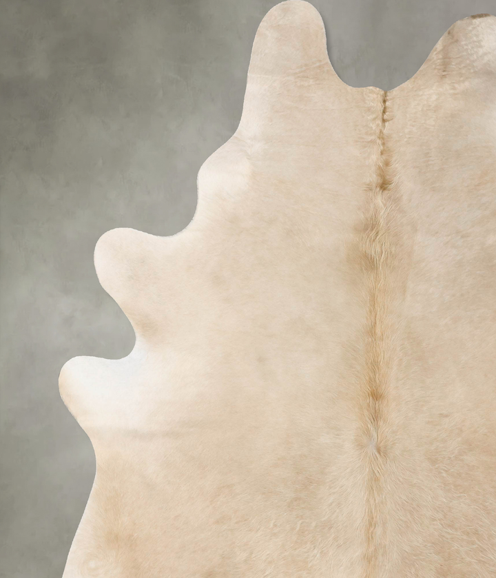Champagne XX-Large Brazilian Cowhide Rug 8'11"H x 6'9"W #B25575 by Hudson Hides