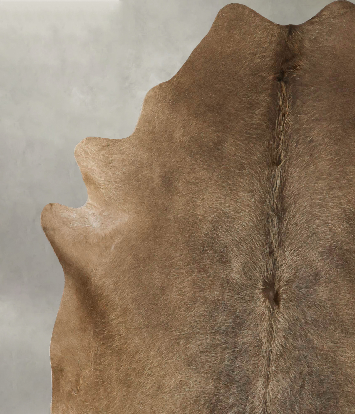 Taupe X-Large Brazilian Cowhide Rug 7'5"H x 6'8"W #B25594 by Hudson Hides
