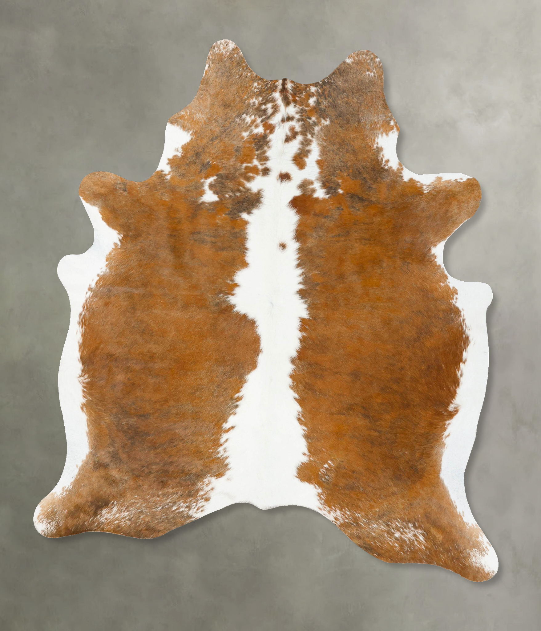 Tricolor Cowhide Rug #B25617