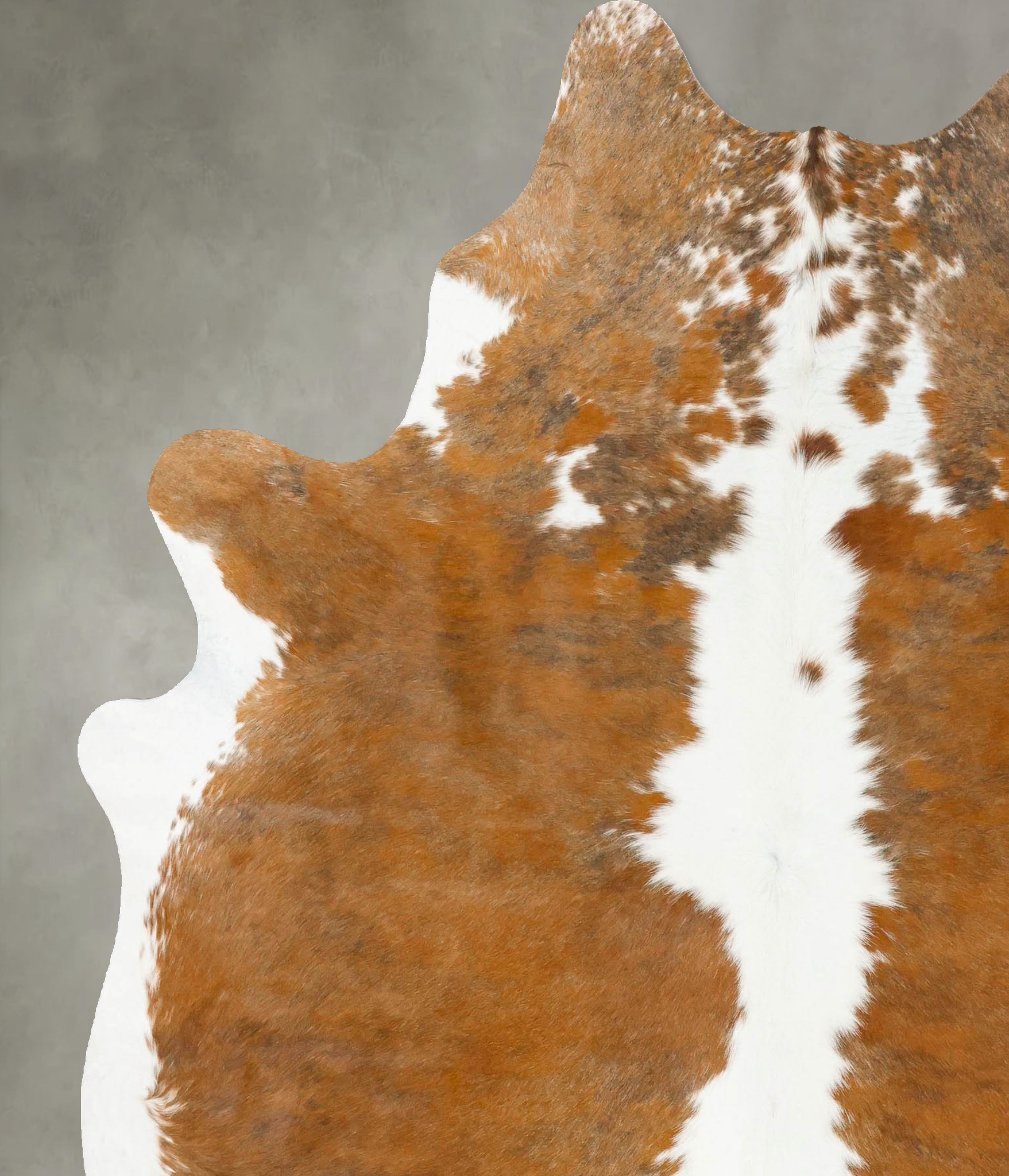 Tricolor Cowhide Rug #B25617