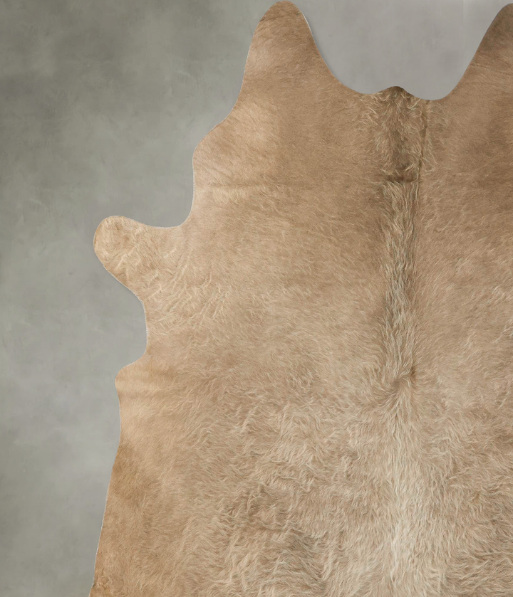 Champagne XX-Large Brazilian Cowhide Rug 7'8"H x 6'9"W #B25620 by Hudson Hides