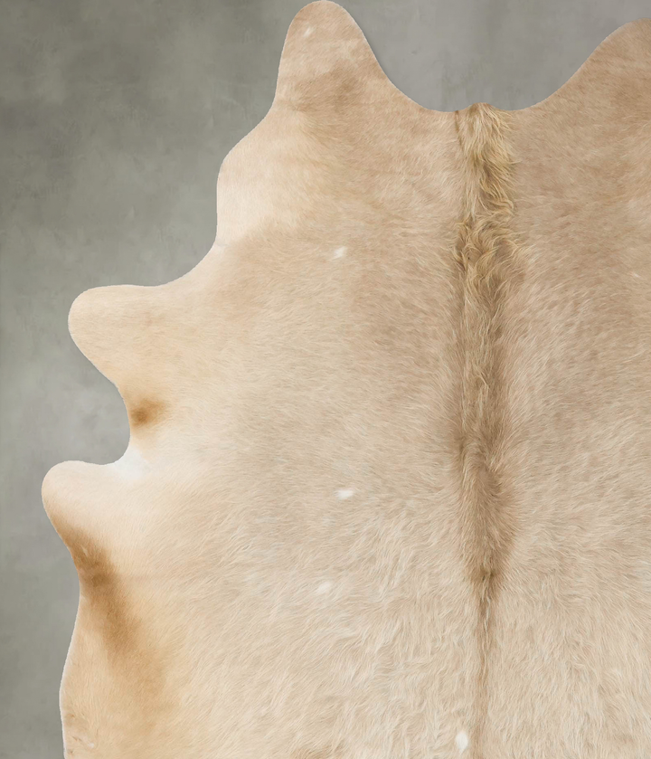 Champagne X-Large Brazilian Cowhide Rug 7'6"H x 6'3"W #B25621 by Hudson Hides
