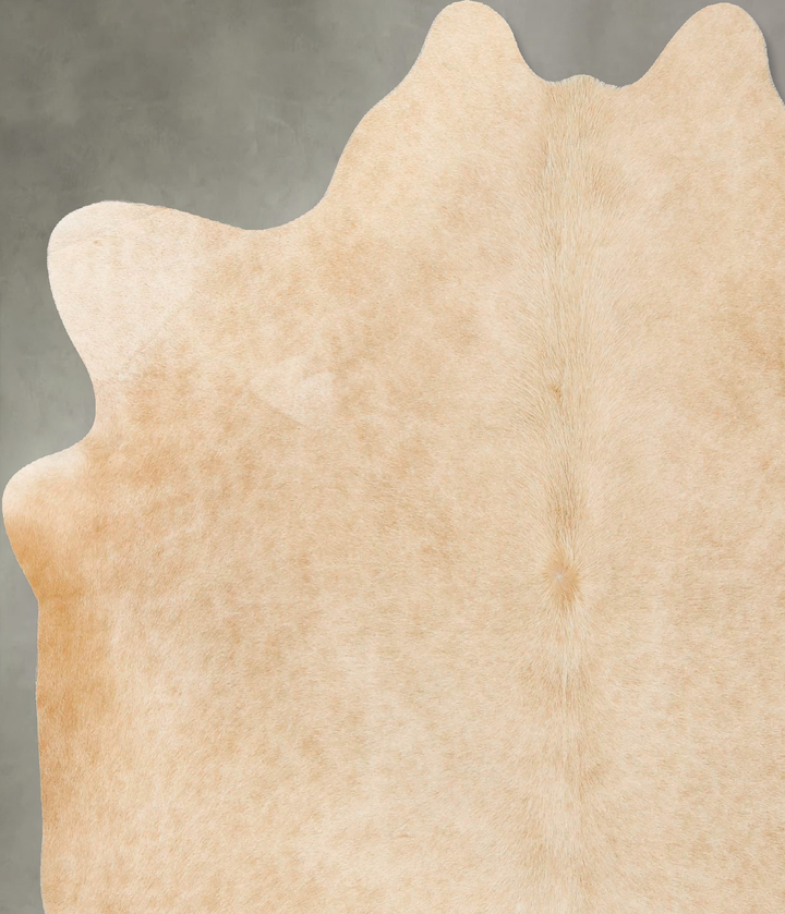 Palomino X-Large Brazilian Cowhide Rug 7'0"H x 6'0"W #B25635 by Hudson Hides