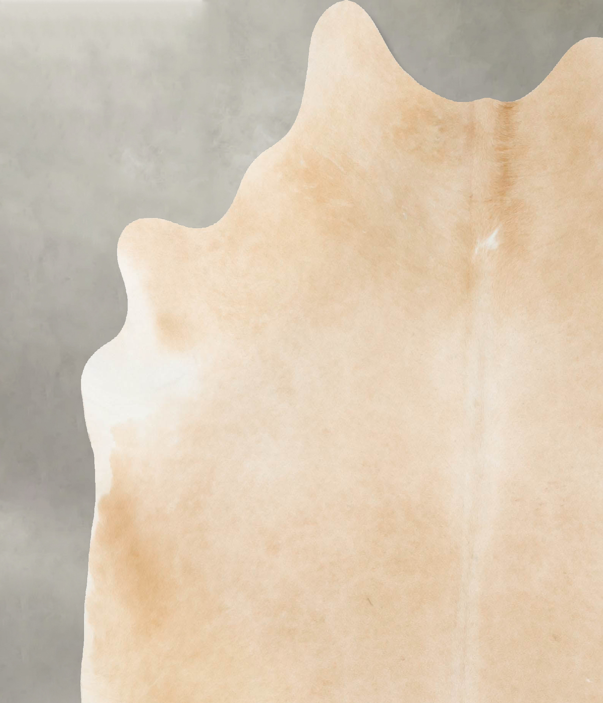 Palomino X-Large Brazilian Cowhide Rug 6'10"H x 6'2"W #B25652 by Hudson Hides