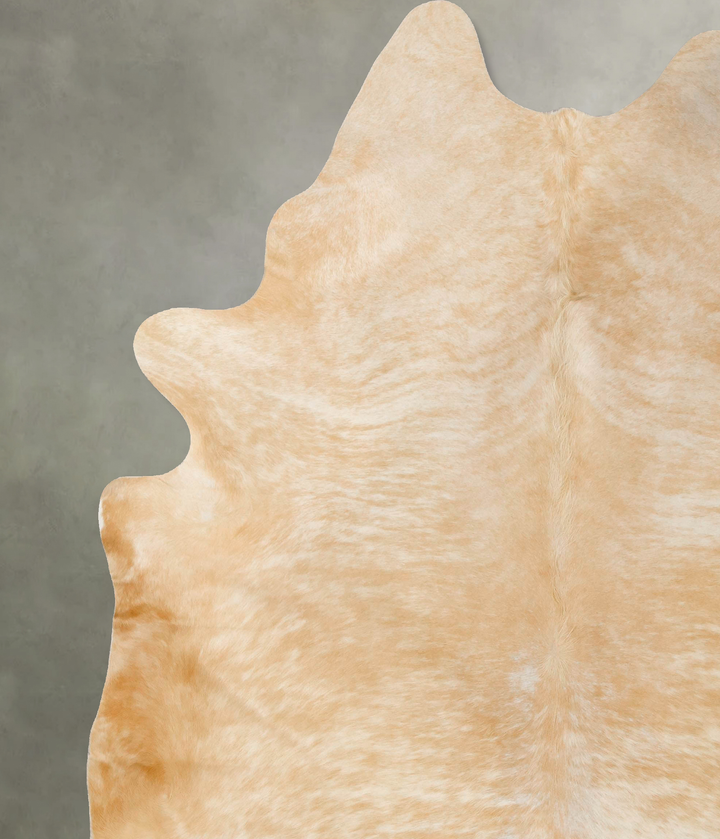 Palomino XX-Large Brazilian Cowhide Rug 9'4"H x 7'9"W #B25655 by Hudson Hides