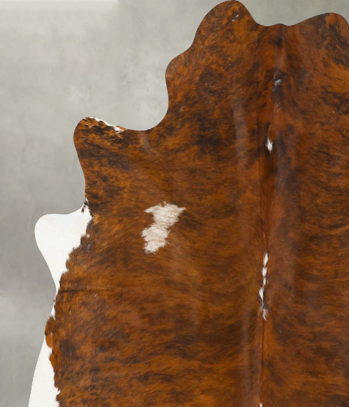 Medium Brindle XX-Large Brazilian Cowhide Rug 7'9"H x 6'6"W #B25658 by Hudson Hides